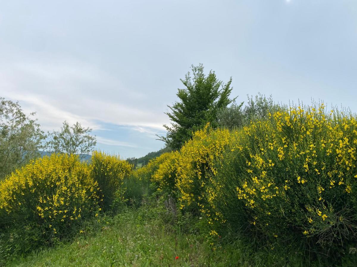 Case Crovina Salsomaggiore Terme Dış mekan fotoğraf