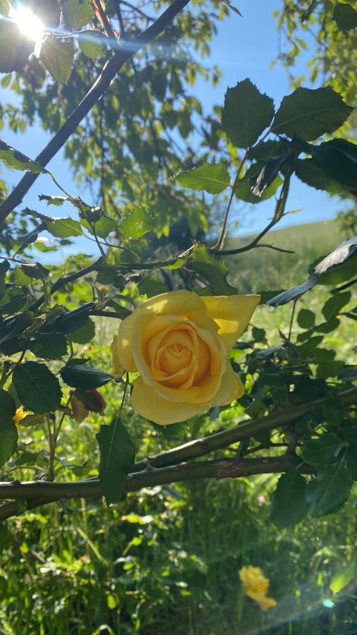 Case Crovina Salsomaggiore Terme Dış mekan fotoğraf