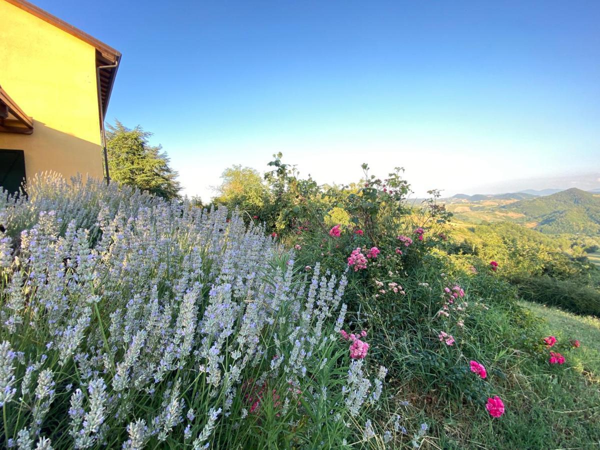 Case Crovina Salsomaggiore Terme Dış mekan fotoğraf